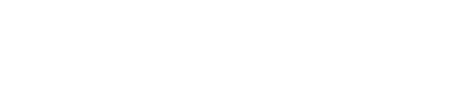 The Shoe Shop